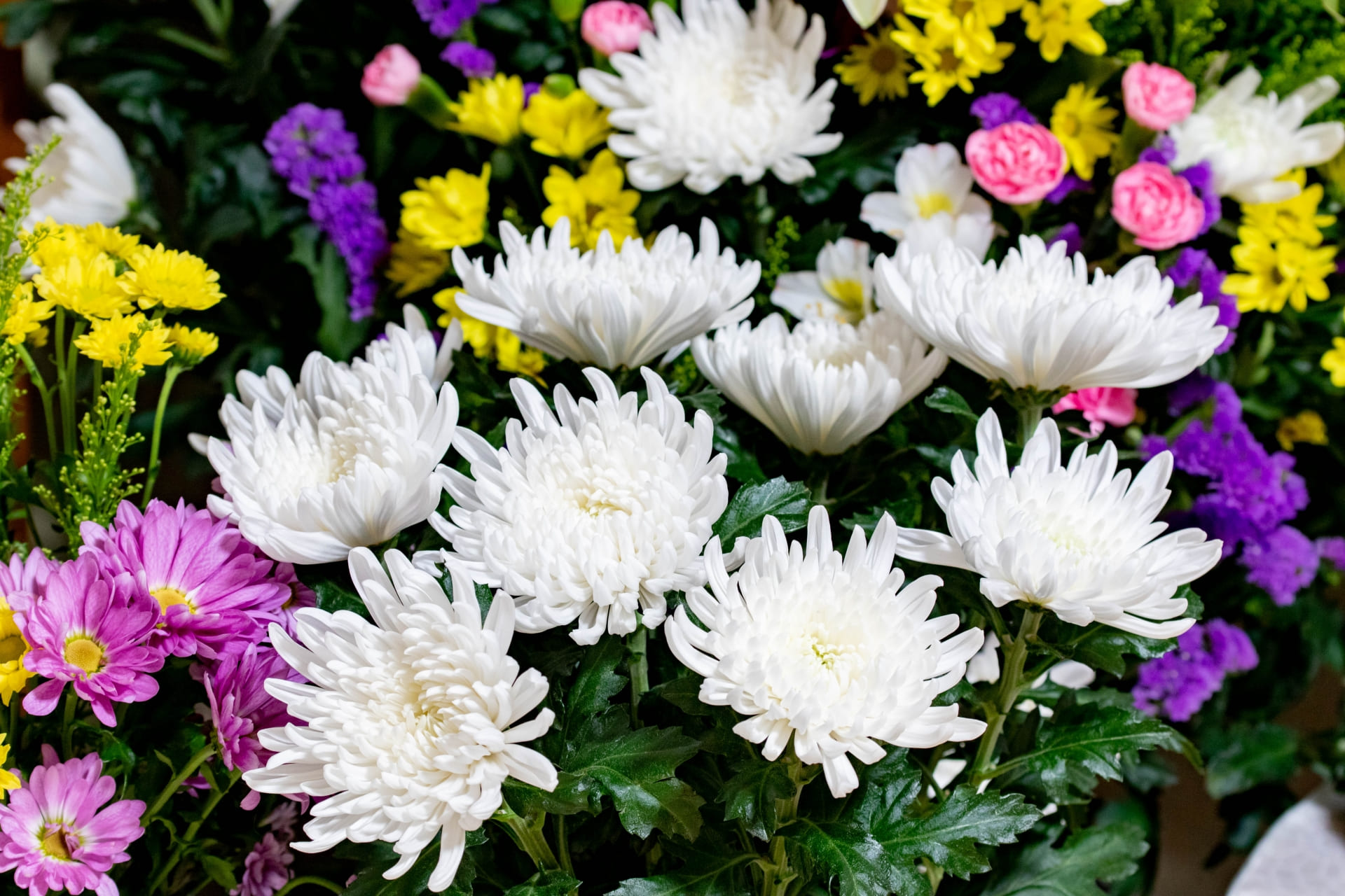 棘と塊イメージ画像